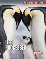 Life Processes