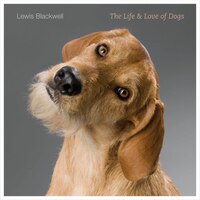The Life And Love Of Dogs