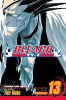 Bleach, Volume 13