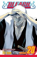 Bleach, Volume 20