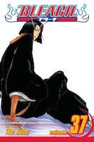 Bleach, Vol. 37: Beauty Is So Solitary