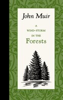 A Wind-storm In The Forests