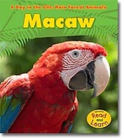 Macaw