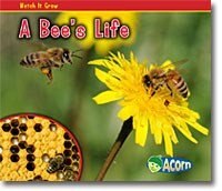 A Bee's Life