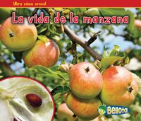 La vida de la manzana