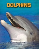 Dolphins