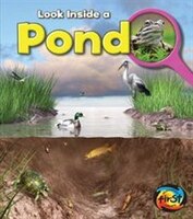Pond: Look Inside