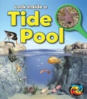Tide Pool: Look Inside