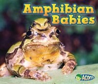 Amphibian Babies (Animal Babies)