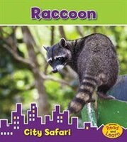 Raccoon: City Safari