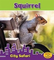 Squirrel: City Safari