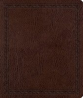 ESV Journaling Bible (Mocha, Threshold Design)