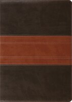 Esv Study Bible (trutone, Forest/tan, Trail Design)