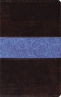 Esv Thinline Bible (trutone, Chocolate/blue, Paisley Band Design)