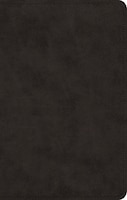 Esv Ultrathin Bible (trutone, Black)