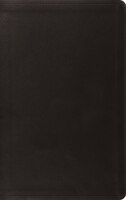 Esv Value Thinline Bible (trutone, Black)