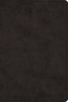 Esv Large Print Bible (trutone, Black)