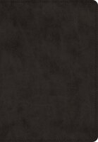 Esv Super Giant Print Bible (trutone, Black)