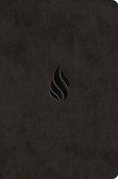 Esv Value Compact Bible (trutone, Midnight, Flame Design)