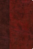 Esv Gospel Transformation Study Bible: Christ In All Of Scripture, Grace For All Of Life (trutone, Burgundy/red, Timeless Design):