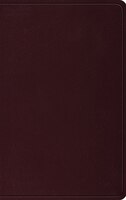 Esv Thinline Bible (burgundy)