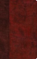 Esv Large Print Thinline Bible (trutone, Burgundy/red, Timeless Design)