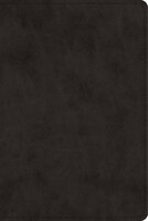 Esv Bible With Creeds And Confessions (trutone, Black)