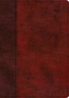 Esv Single Column Journaling Bible, Large Print (trutone, Burgundy/red, Timeless Design)