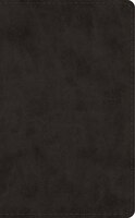 Esv Pocket Bible (trutone, Black)