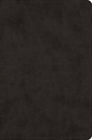 Esv Single Column Legacy Bible (trutone, Black)