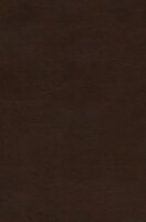 Esv Preaching Bible (trutone Over Board, Brown)