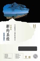 Mandarin Csb / Cuv Parallel New Testament