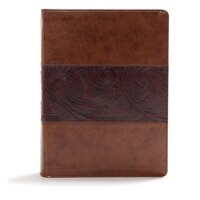 CSB STUDY BIBLE, MAHOGANY LEATHERTOUCH, INDEXED