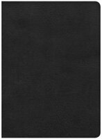 CSB STUDY BIBLE, BLACK DELUXE LEATHERTOUCH, INDEXED