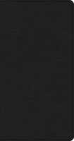 Csb Share Jesus Without Fear New Testament, Brown Leathertouch