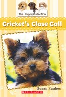 Cricket's Close Call