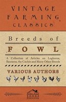 Breeds of Fowl - A Collection of Articles on Leghorns, Bantams, the Cochin and Many Other Breeds