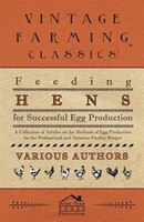 Feeding Hens for Successful Egg Production - A Collection of Articles on the Methods of Egg Production for the Professional and Am