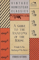 A   Guide to the Anatomy of the Horse - A Collection of Historical Articles on the Skeleton, Hoof, Teeth, Locomotion and Other Asp