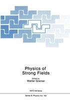 Physics of Strong Fields