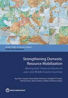 Strengthening Domestic Resource Mobilization In Developing Countries