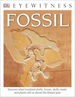 DK Eyewitness Books: Fossil