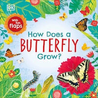 How Does A Butterfly Grow?