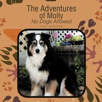 The Adventures Of Molly: No Dogs Allowed