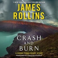 Crash And Burn: A Sigma Force Short Story