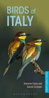 Birds Of Italy