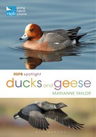 Rspb Spotlight Ducks And Geese
