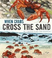 When Crabs Cross the Sand: The Christmas Island Crab Migration