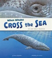 When Whales Cross the Sea: The Gray Whale Migration