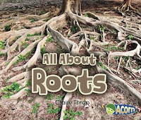 All About Roots